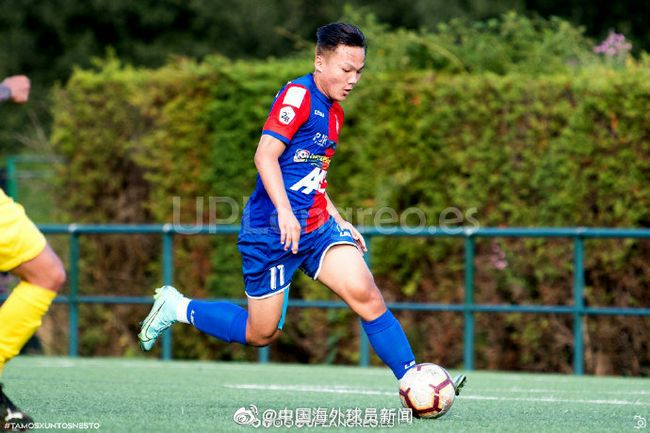 少妇久久免费视频