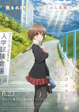欧美紧缚——vk